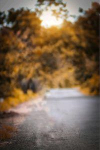 Hasheec shipping and transportation services